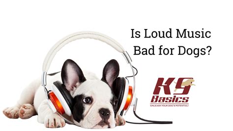 Is Listening to Music Bad for You? A Multi-Layered Exploration