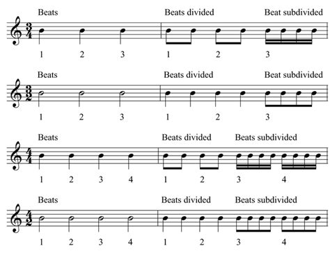 what does meter mean in music? the rhythm of life